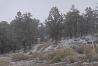 April and Snowed Out